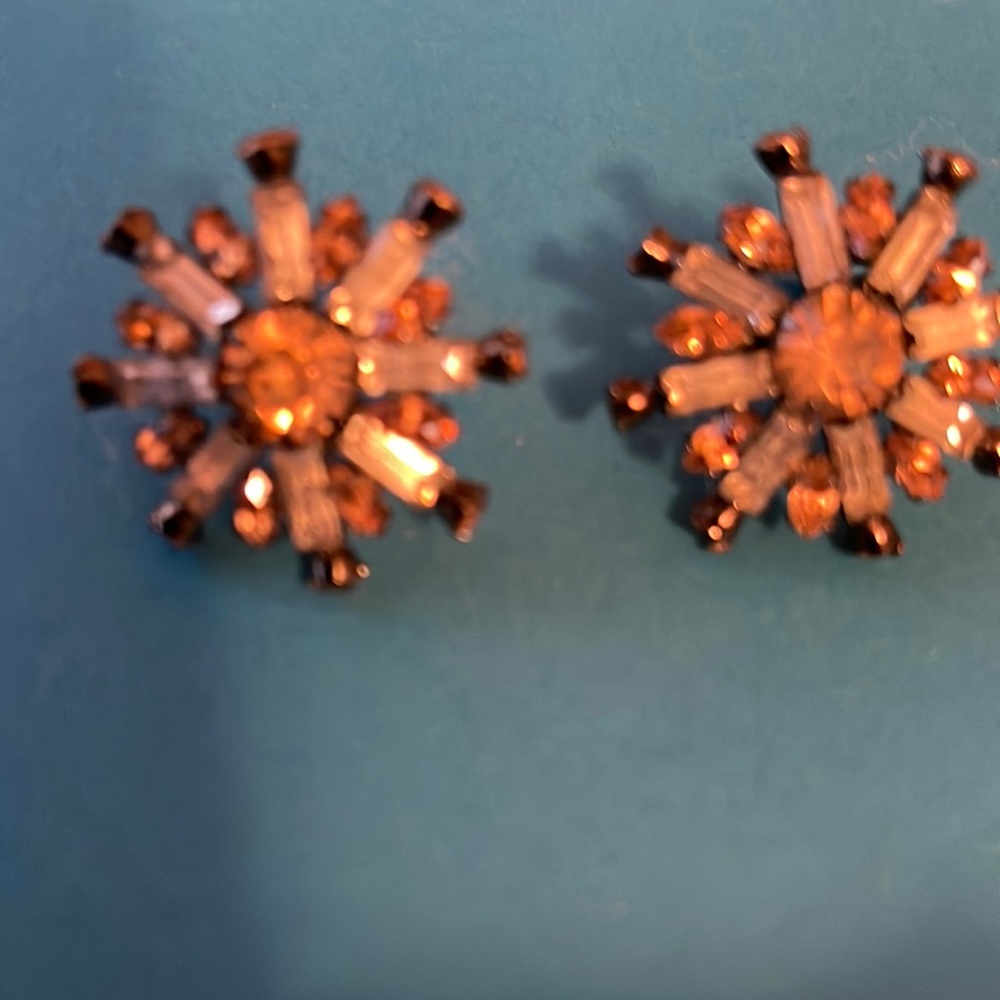 Lovely sparkly clip earrings